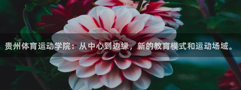一竞技官方正版app代理：贵州体育运动学院：从中心到