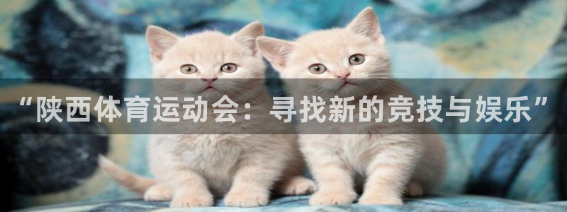 一竞技官网下载联系电话：“陕西体育运动会：寻找新的竞