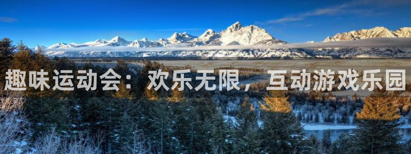一竞技官方正版app官方：趣味运动会：欢乐无限，互动