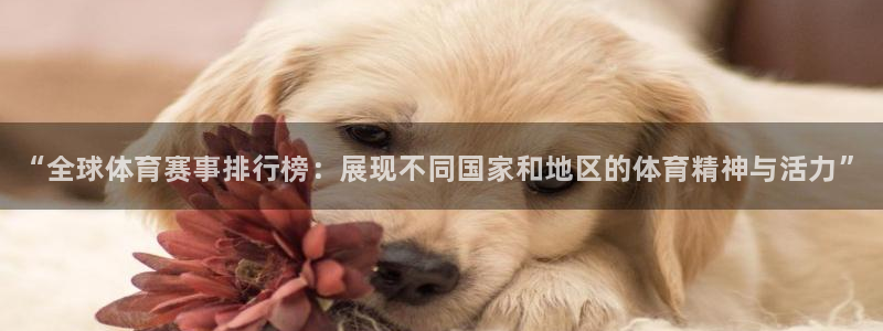 一竞技官方正版app娱乐代理怎么样：“全球体育赛事排