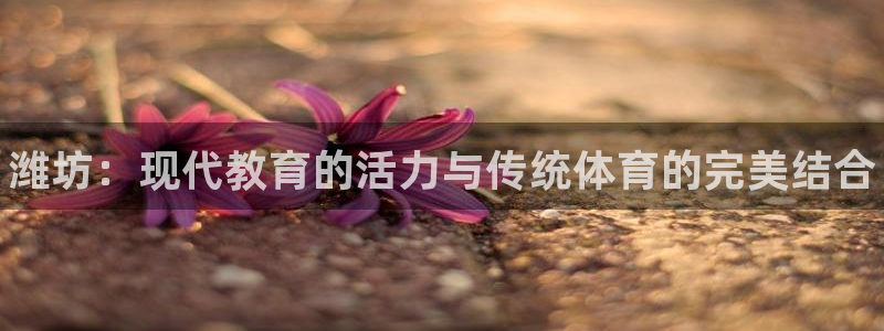 一竞技官方正版app娱乐首页网站大全：潍坊：现代教育的活力与