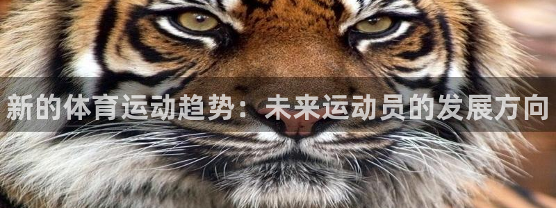 一竞技官方正版app集团官网首页：新的体育运动趋势：