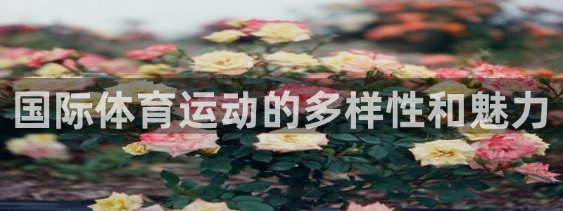 一竞技官方正版app娱乐首页官网下载：国际体育运动的