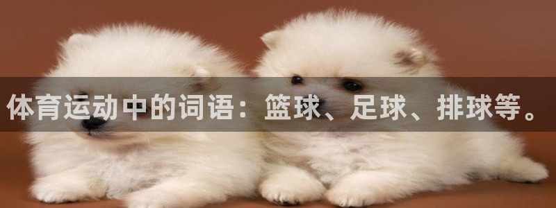 一竞技官方正版app娱乐：体育运动中的词语：篮球、足