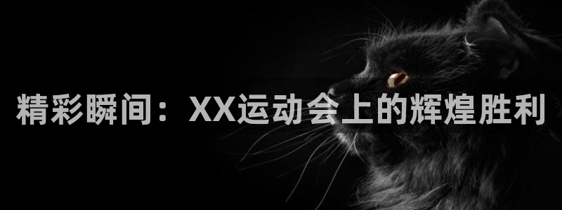 一竞技官网下载联系电话：精彩瞬间：XX运动会上的辉煌
