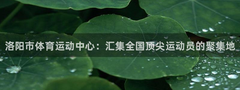 一竞技官网下载平台注册要钱吗：洛阳市体育运动中心：汇