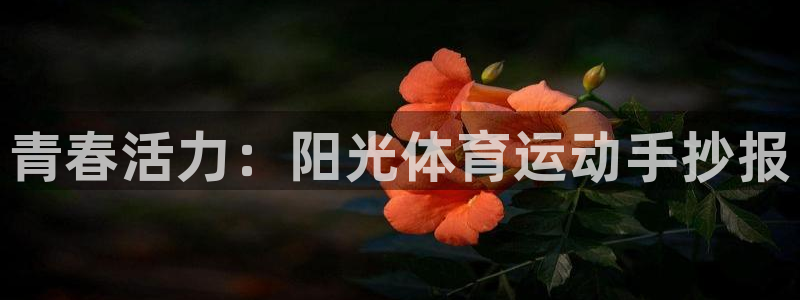 德国一竞技官方正版app集团：青春活力：阳光体育运动