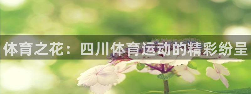 一竞技官网下载平台注册要钱吗安全吗：体育之花：四川体