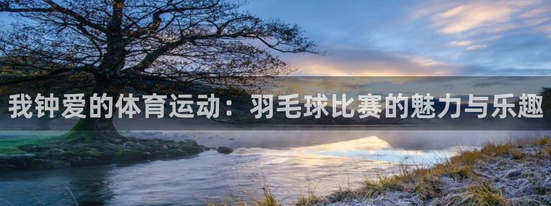 注册一竞技官方正版app：我钟爱的体育运动：羽毛球比赛的魅力