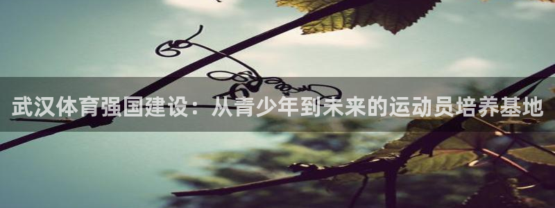 一竞技官网下载开户：武汉体育强国建设：从青少年到未来