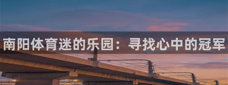 一竞技官方正版app神州：南阳体育迷的乐园：寻找心中