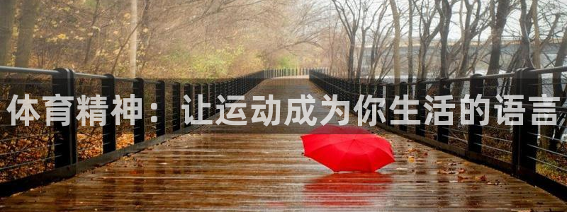 一竞技官网下载娱乐：体育精神：让运动成为你生活的语言