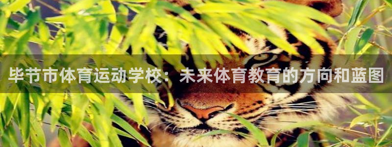 一竞技官方正版app娱乐：毕节市体育运动学校：未来体
