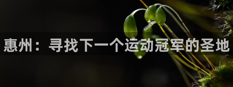 一竞技官方正版app集团官网首页网址：惠州：寻找下一