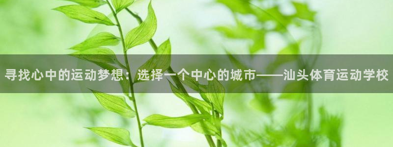 一竞技官网下载平台是正规平台吗安全吗：寻找心中的运动