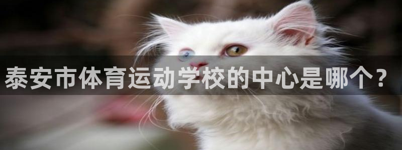 一竞技官网下载：泰安市体育运动学校的中心是哪个？