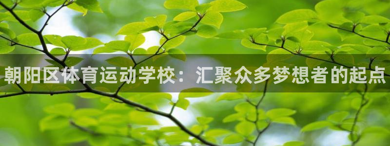 一竞技官网下载官方客服电话：朝阳区体育运动学校：汇聚众多梦想