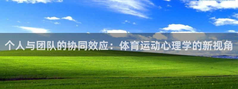一竞技官方正版app集团官网网址：个人与团队的协同效应：体育
