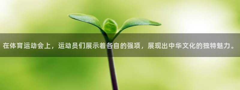 一竞技官网下载是干嘛的公司：在体育运动会上，运动员们展示着各
