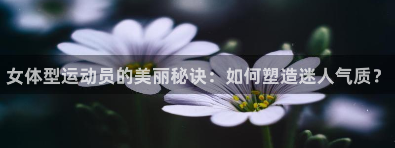 一竞技网站