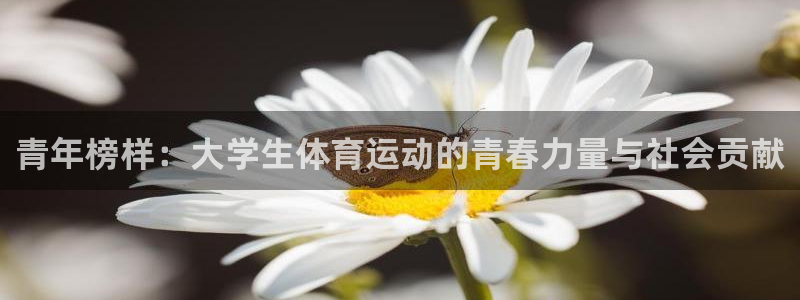 一竞技平台怎么样