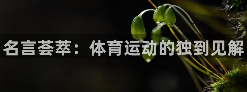 一竞技登录入口：名言荟萃：体育运动的