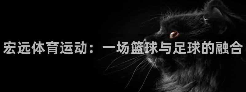一竞技one卡：宏远体育运动：一场篮