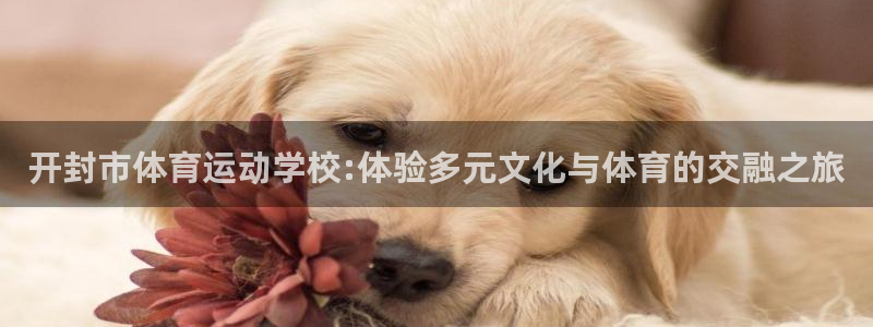 一竞技平台可靠吗：开封市体育运动学校:体验多元文化与体育的交