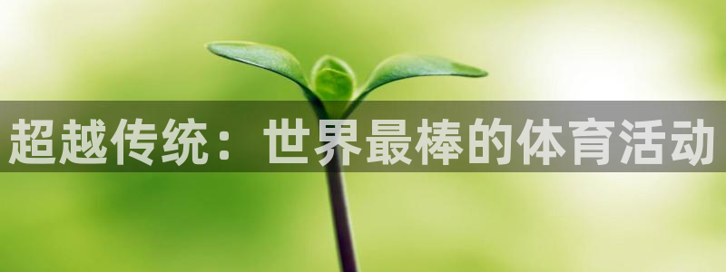 一竞技官网入口登录：超越传统：世界最