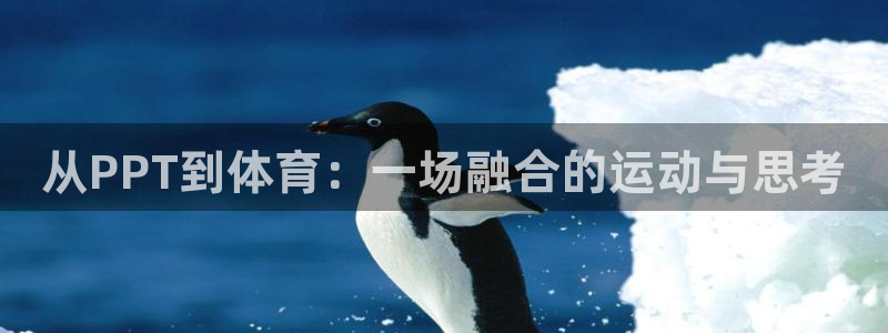 一竞技客服说账号异常：从PPT到体育