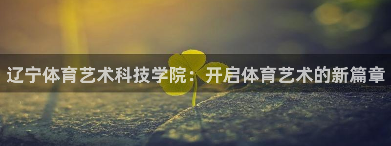 一竞技平台提现不出：辽宁体育艺术科技学院：开启体育艺术的新篇