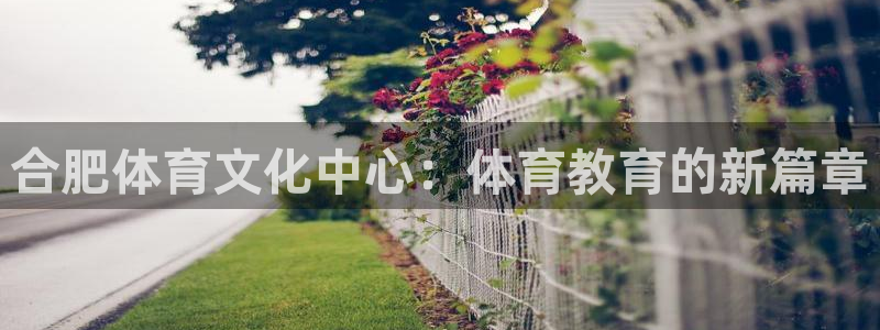 一竞技官网测试：合肥体育文化中心：体