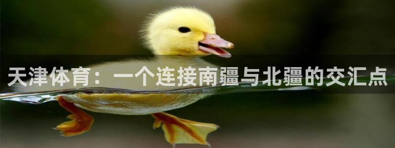  一竞技官网测速入口登录：天津体育：一个连接南疆与北疆的交汇点