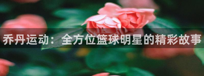 一竞技APP官方下载：乔丹运动：全方