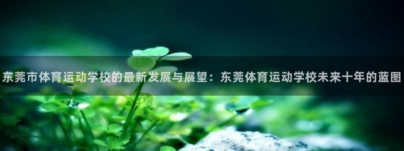 一竞技测速站网址是什么：东莞市体育运动学校的最新发展与展望：
