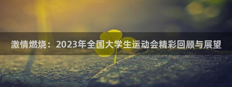 一竞技游戏登录入口：激情燃烧：2023年全国大学生运动会精彩