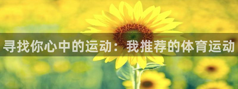  一竞技是什么平台：寻找你心中的运动：我推荐的体育运动
