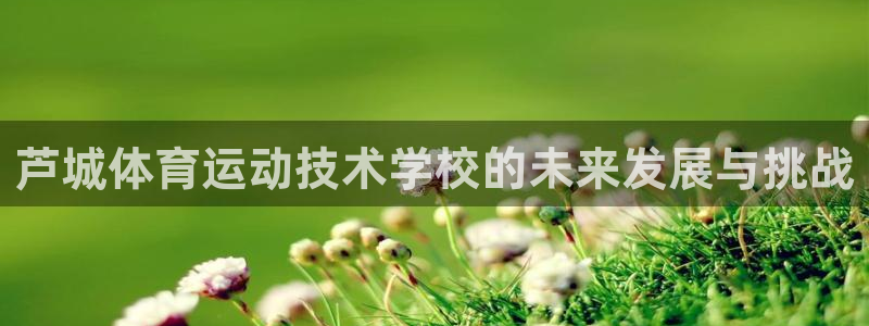 一竞技平台是杂牌吗：芦城体育运动技术
