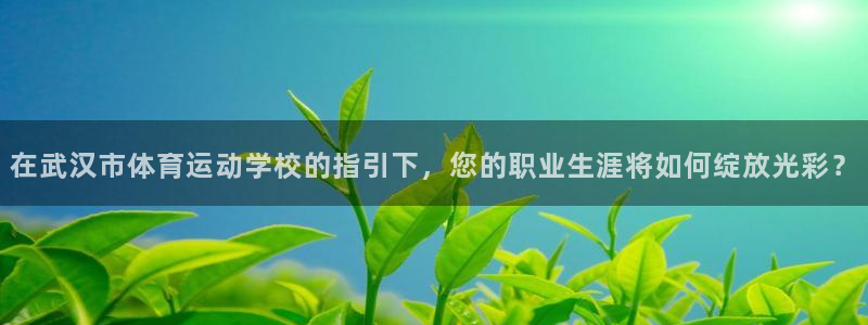  一竞技dota2：在武汉市体育运动学校的指引下，您的职业生涯