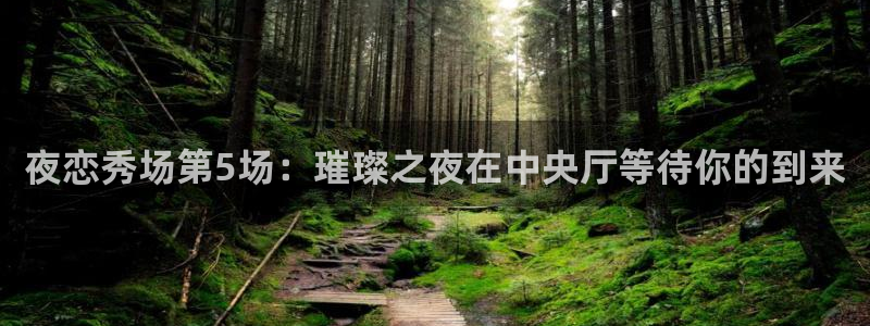so米足球比赛直播：夜恋秀场第5场：璀璨之夜在中央厅等待你的到来