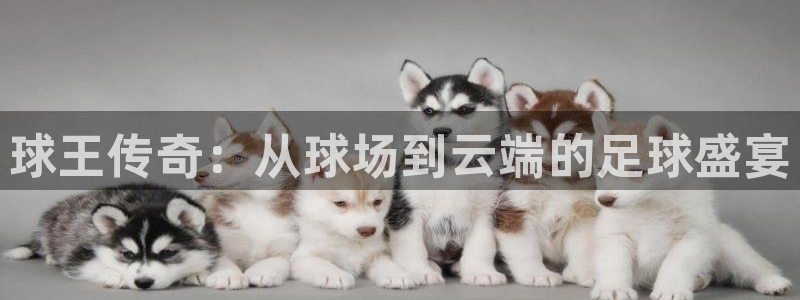 so米直播篮球在线直播：球王传奇：从球场到云端的足球盛宴
