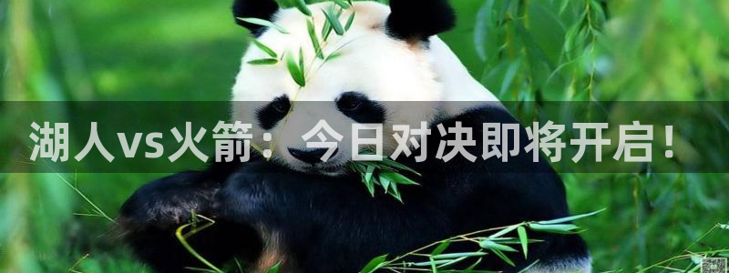 so米体育nba直播在线观看：湖人vs火箭：今日对决即将开启！