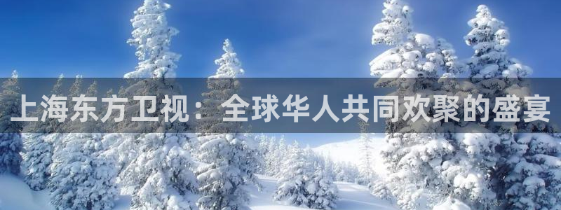 so米体育：上海东方卫视：全球华人共同欢聚的盛宴