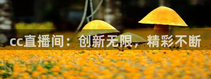 so米足球直播：cc直播间：创新无限，精彩不断