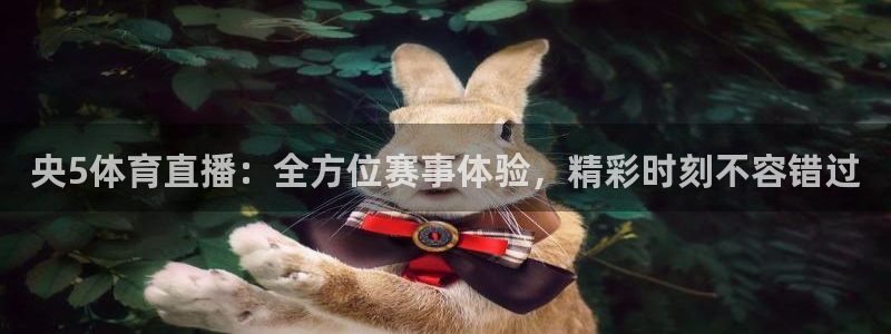 so米直播体育在线观看：央5体育直播：全方位赛事体验，精彩时刻不容错过