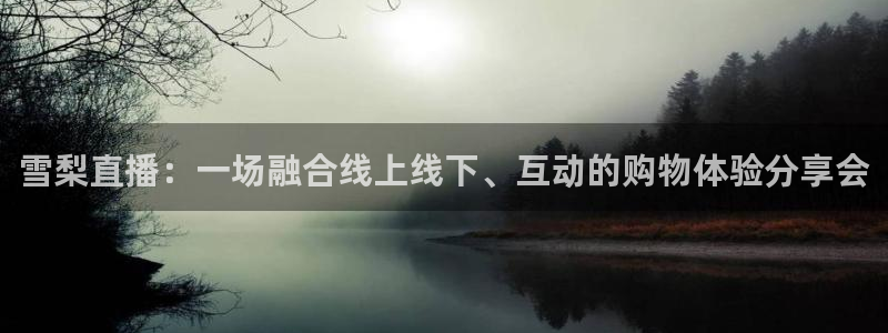 so米直播体育篮球
