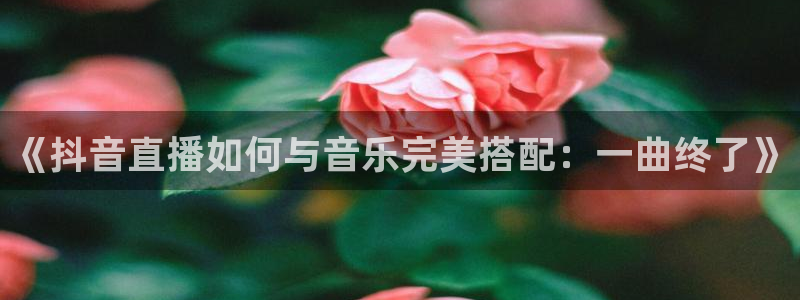 so米直播nba视频：《抖音直播如何与音乐完美搭配：一曲终了》